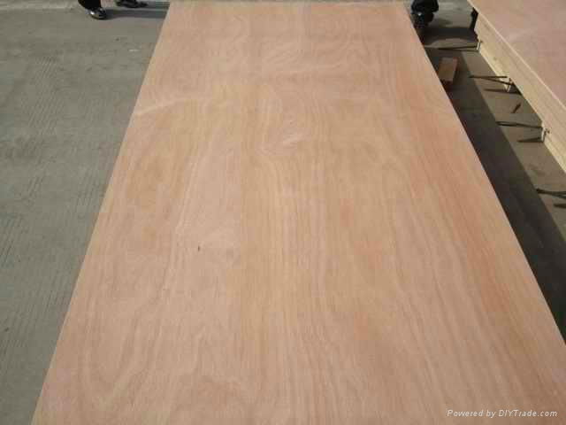 Best price commercial plywood furniture plywood