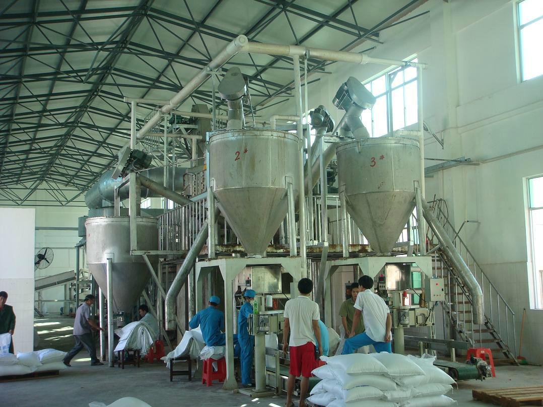 Mechanical Salt  washing Production Line