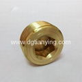 Brass pipe plugs with competitive price 1