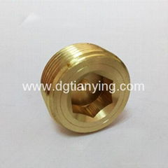 Brass pipe plugs with competitive price