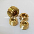 Brass pipe plugs with competitive price 2