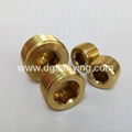 Brass pipe plugs with competitive price 3