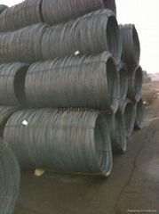 supply sae1006/1008/1018wire rod