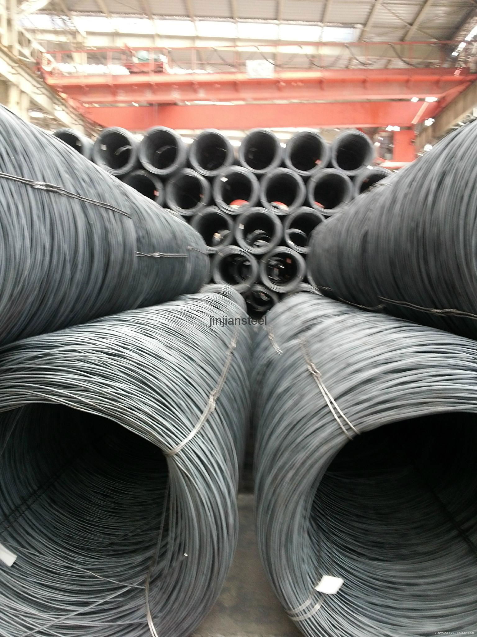 supply sae1006/1008/1018wire rod 2