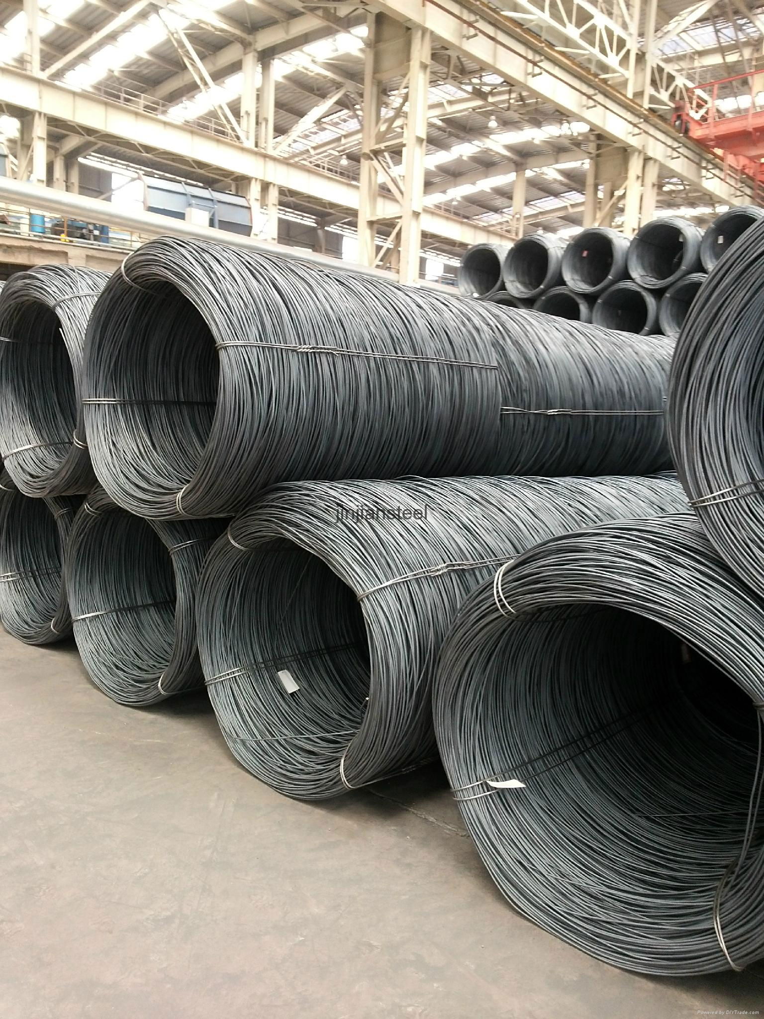 supply sae1006/1008/1018wire rod 3