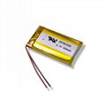 rechargeable lithium ion polymer battery