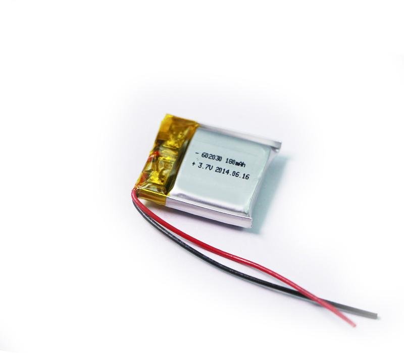Lithium ion polymer battery