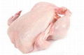Halal frozen whole chicken feet leg