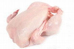Halal frozen whole chicken feet leg quarter chicken paws chicken wings