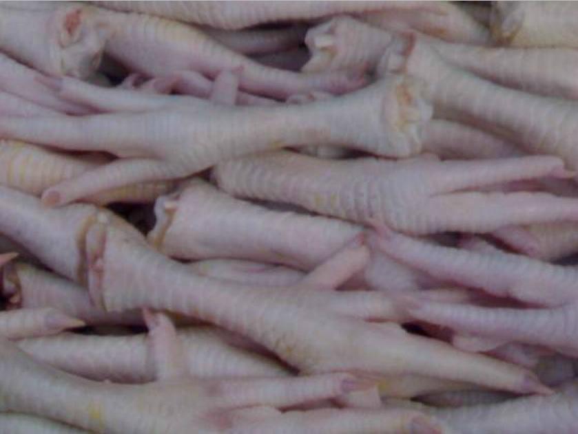 Halal frozen whole chicken feet leg quarter chicken paws chicken wings 2