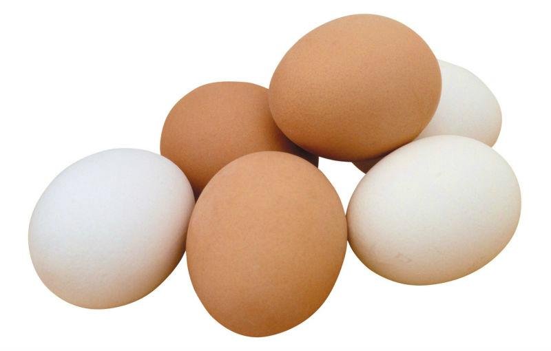 farm fresh chicken table eggs hatching fertile eggs