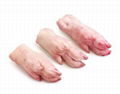 Frozen pork feet hind feet front foot chicken feet paws 2