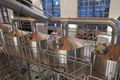 Five Vessel Brewhouse 1