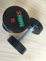  polyurethane dumbbell