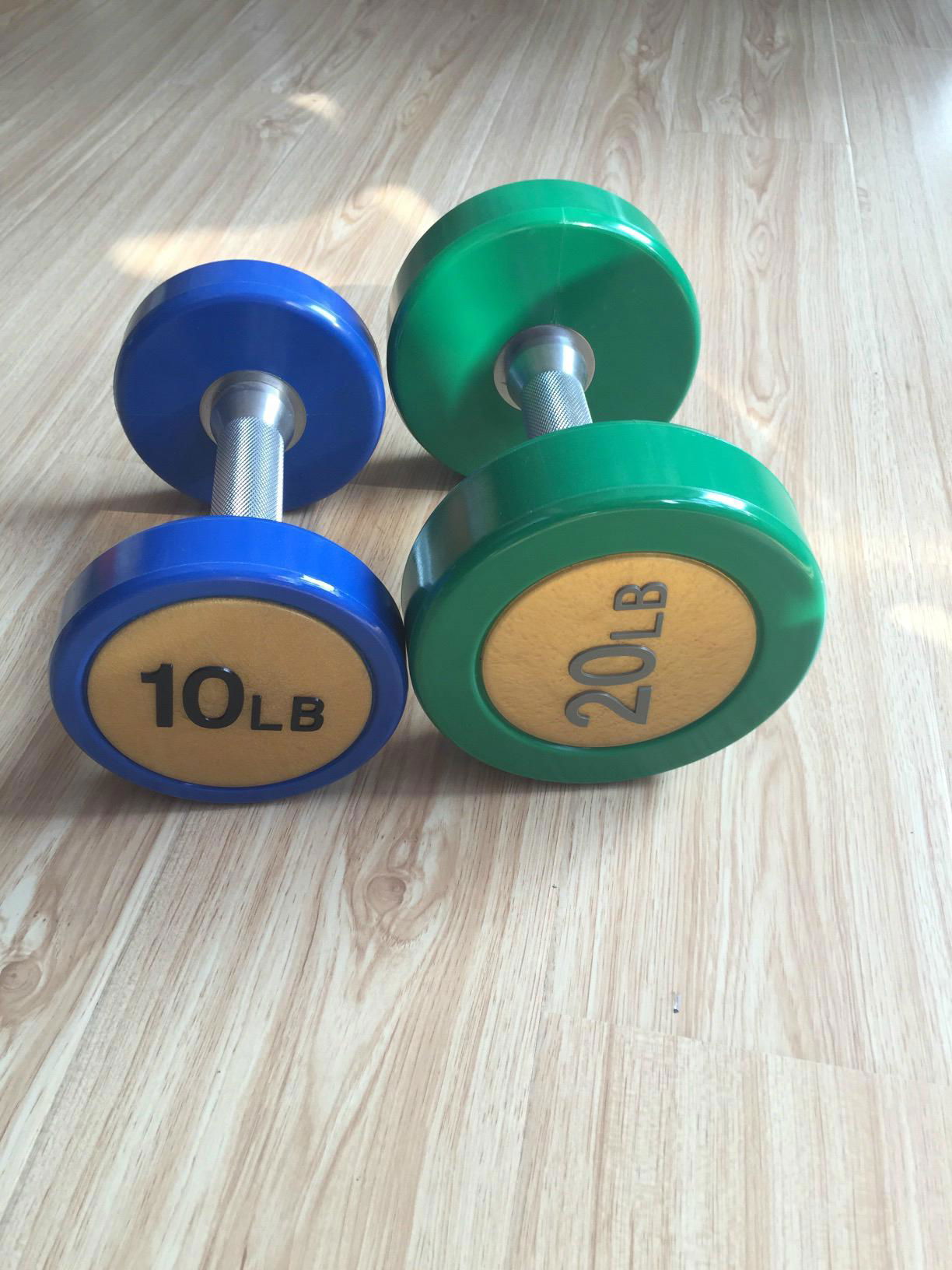 pu dumbbells 2