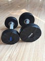 pu dumbbells 2