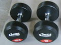 round rubber dumbbell 1