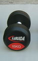round rubber dumbbell 2