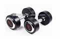 Rubber dumbbell (with cover plate)with high quality 1