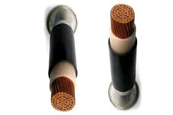 Nuclear power cable-Cable for Nuclear Power Station
