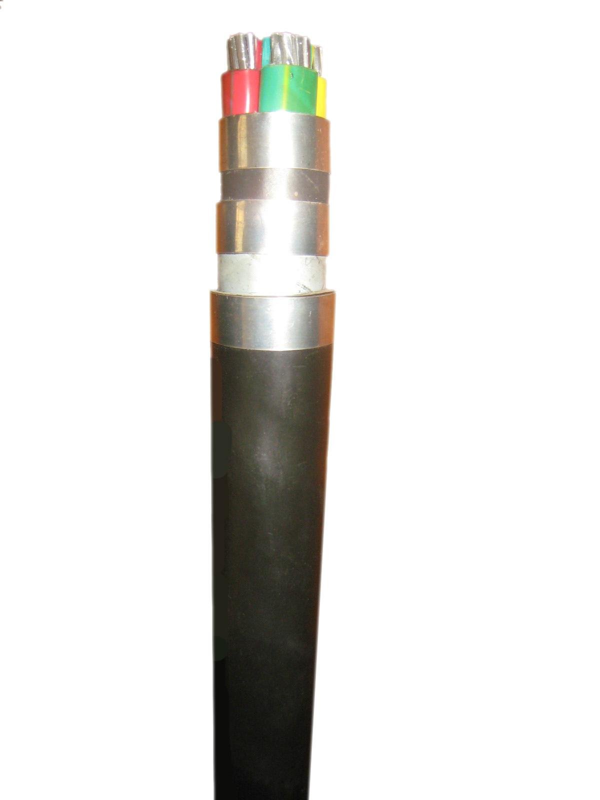 Power cables-XLPE Insulated power Cable for Rated Voltage 0.6/1kV