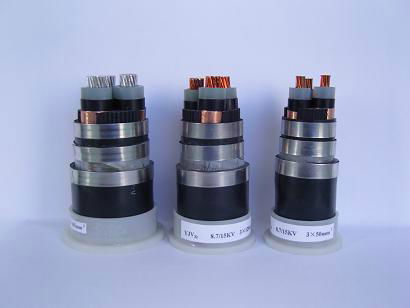 Power cables-XLPE Insulated power Cable for Rated Voltage 0.6/1kV 2