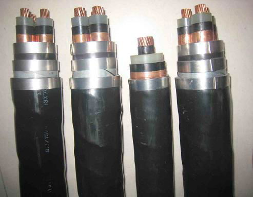 Power cables-XLPE Insulated power Cable for Rated Voltage 0.6/1kV 3