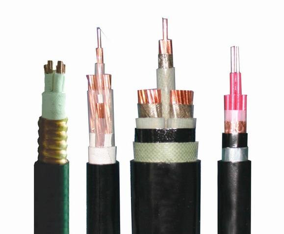 Nuclear power cable-Cable for Nuclear Power Station 4