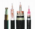 Nuclear power cable-Cable for Nuclear Power Station 4