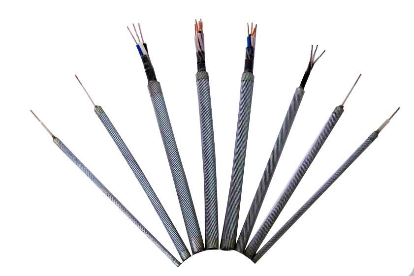 Logging cable-Modified polypropylene insulated Logging cable 4