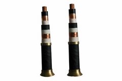 Military cable-Product Name： Fluorine plastic Insulated Heat Resistant Power Cab