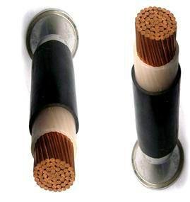 Nuclear power cable- Cable for Nuclear Power Station 2