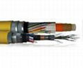 Fluoroplastics F46 insulated logging cable 1