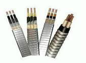  PVC Insulated Electrical Cable