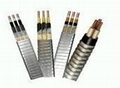  PVC Insulated Electrical Cable