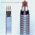 潜油泵电缆： 电动潜油泵引接电缆 3