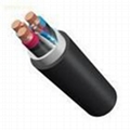 PVC Insulated Power Cable for Rated