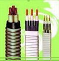 DC Power Cable For Rated Voltage Up To And Including 3kV