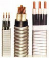 DC Power Cable For Rated Voltage Up To And Including 3kV 3