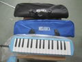 popular and cheap 32 key plastic melodica for student for sale 