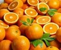 FRESH ORANGES CLASS 1 FOR SELL
