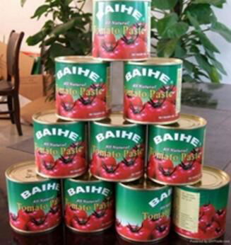 tomato paste canned brix 28-30% Ketchup 2