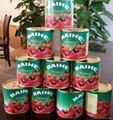 Chinese canned tomato paste in sauce canned tomato paste 0.3kg 2