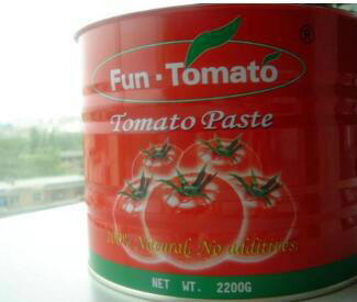 Chinese canned tomato paste in sauce canned tomato paste 0.3kg 4