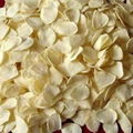 High Quality for Exporting Dehydrated Garlic Flakes 4