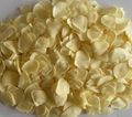 New Crop Good Quality Export Dehydrated Garlic Flakes 4