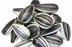 best selling products china sunflower seeds