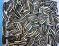 best selling products china sunflower seeds 3