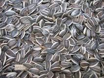 manufacturer from china sunflower seeds health food hulled sunflower seeds