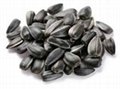 manufacturer from china sunflower seeds health food hulled sunflower seeds 2